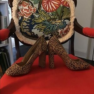 Steve Madden Tessssal Leopard Heels with strap